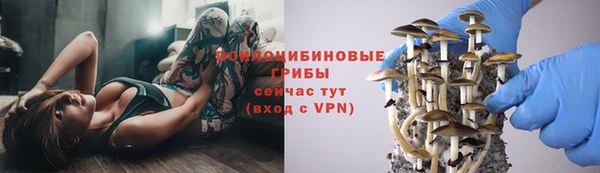 бутират Бородино