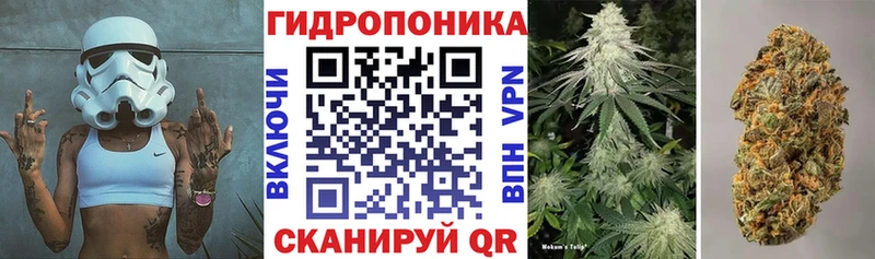 Бошки марихуана Ganja  цены   blacksprut маркетплейс  Коломна 